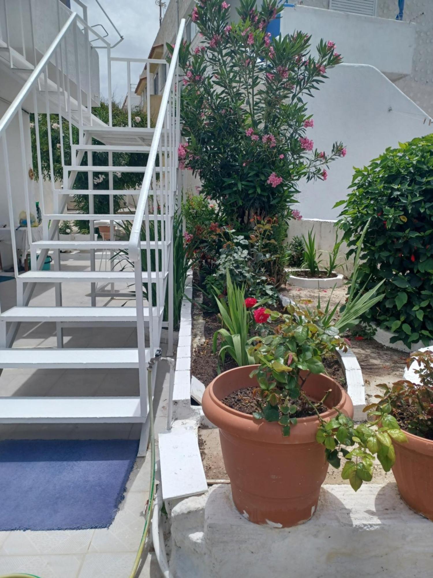 Mastichari Nektaria Studio Daire Dış mekan fotoğraf